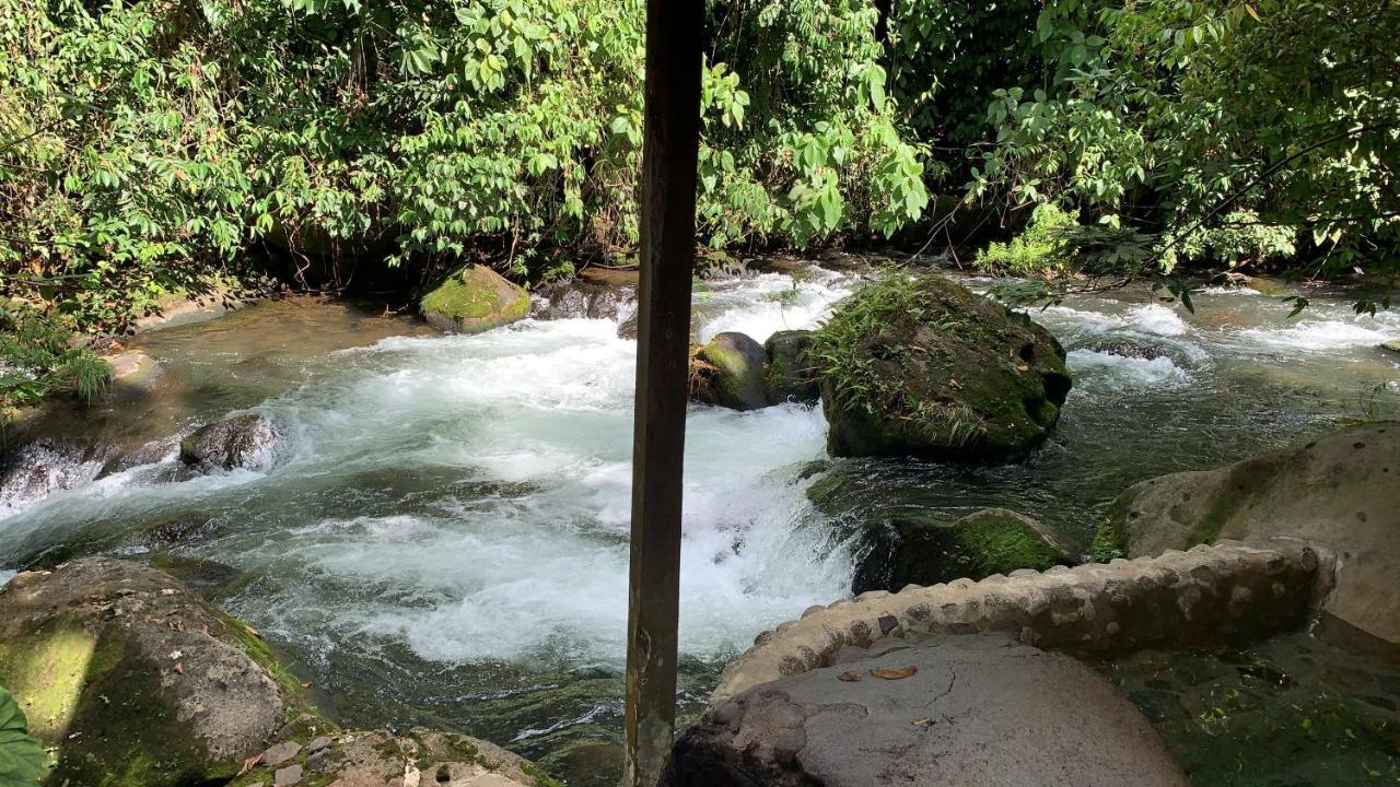 Casa Vitality Bed And Breakfast - Playa Guiones, Nosara - 4 Minute Walk To The Beach Екстер'єр фото